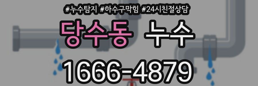 당수동 누수