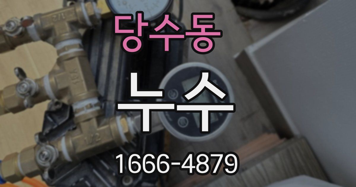 당수동 누수