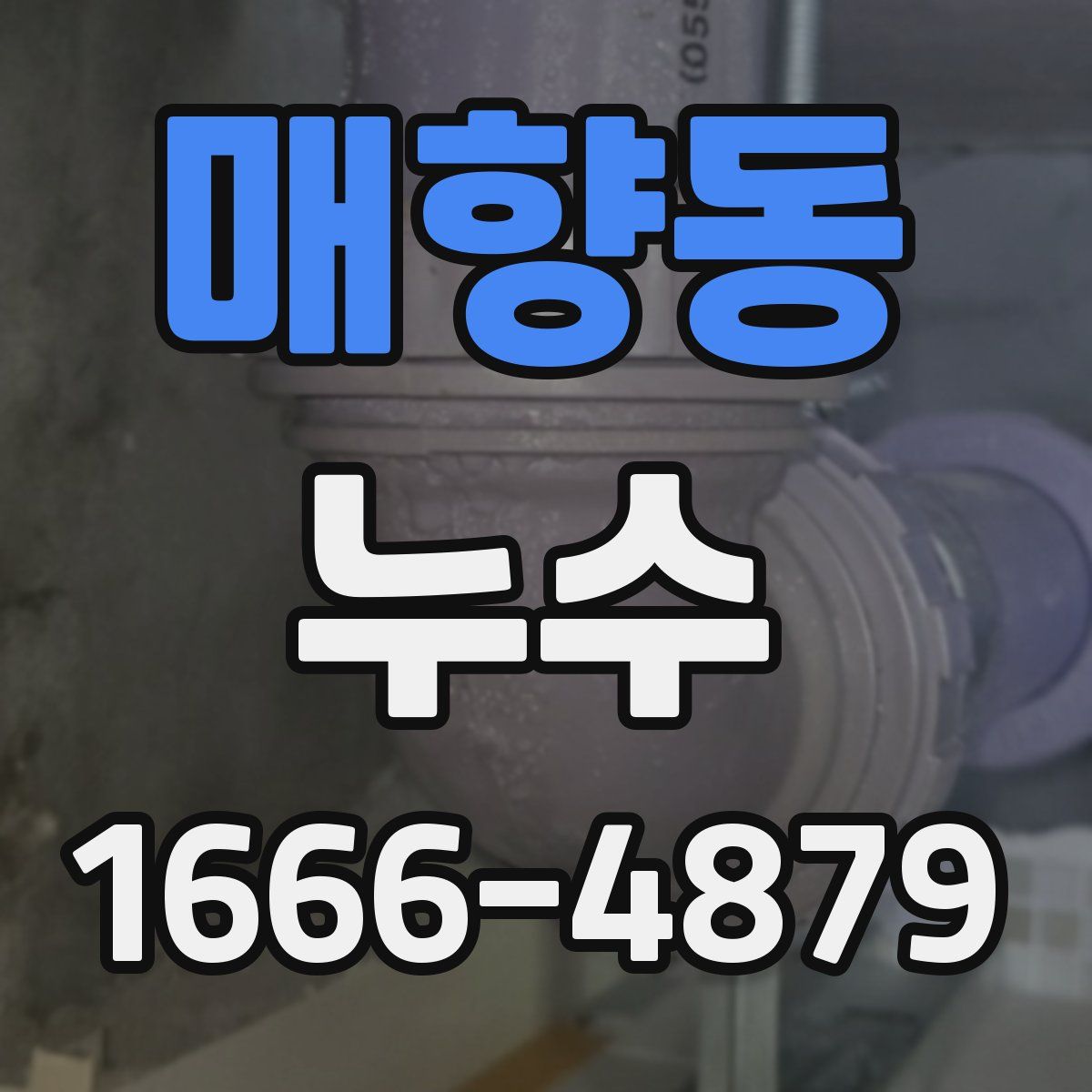 매향동 누수