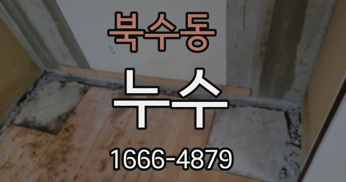 북수동 누수