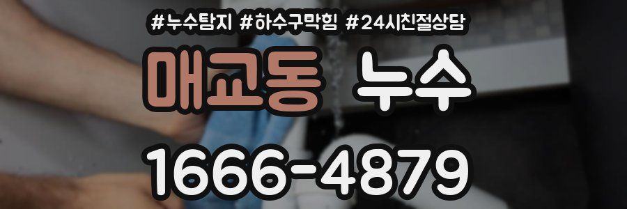 매교동 누수