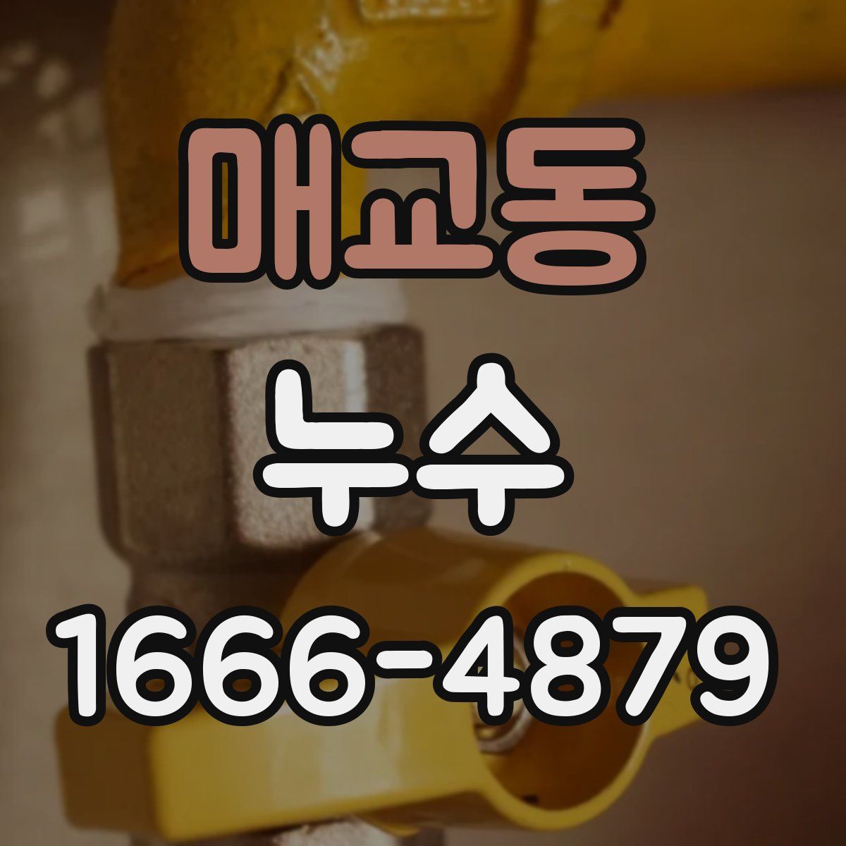 매교동 누수