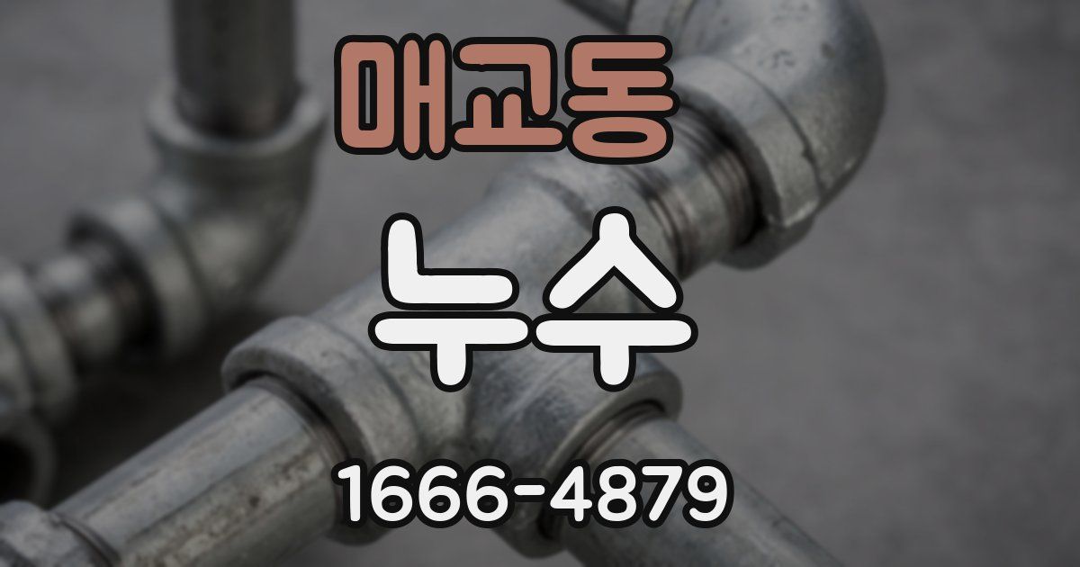 매교동 누수