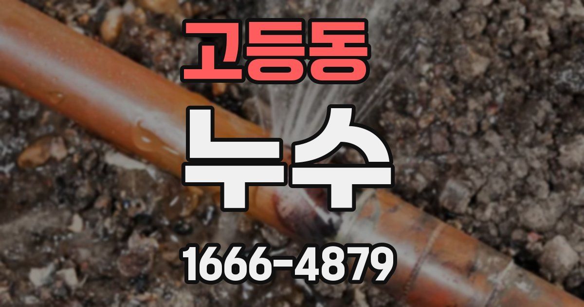 고등동 누수