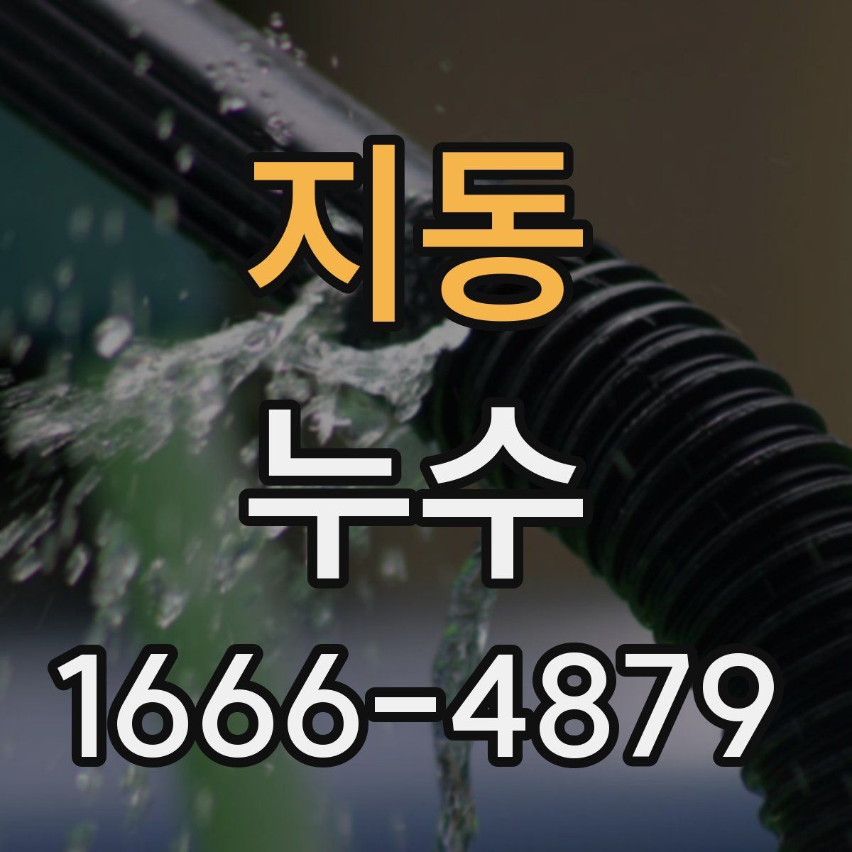 지동 누수