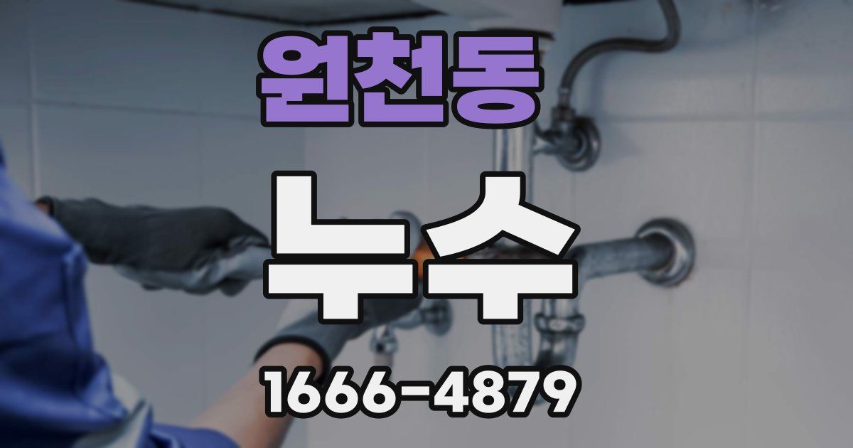 원천동 누수