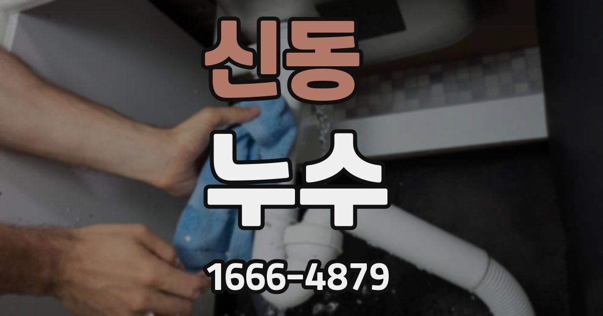 신동 누수