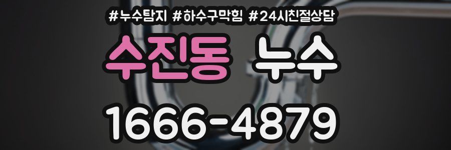 수진동 누수