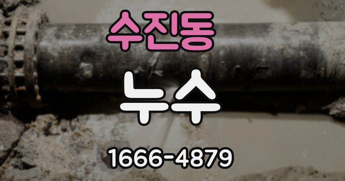 수진동 누수