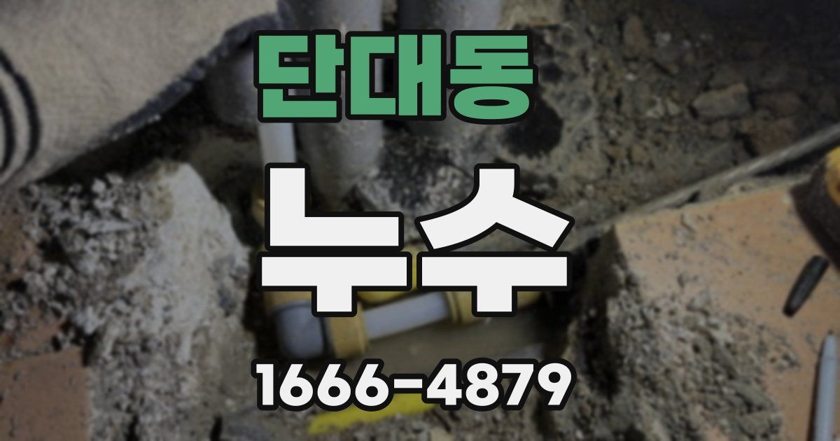 단대동 누수