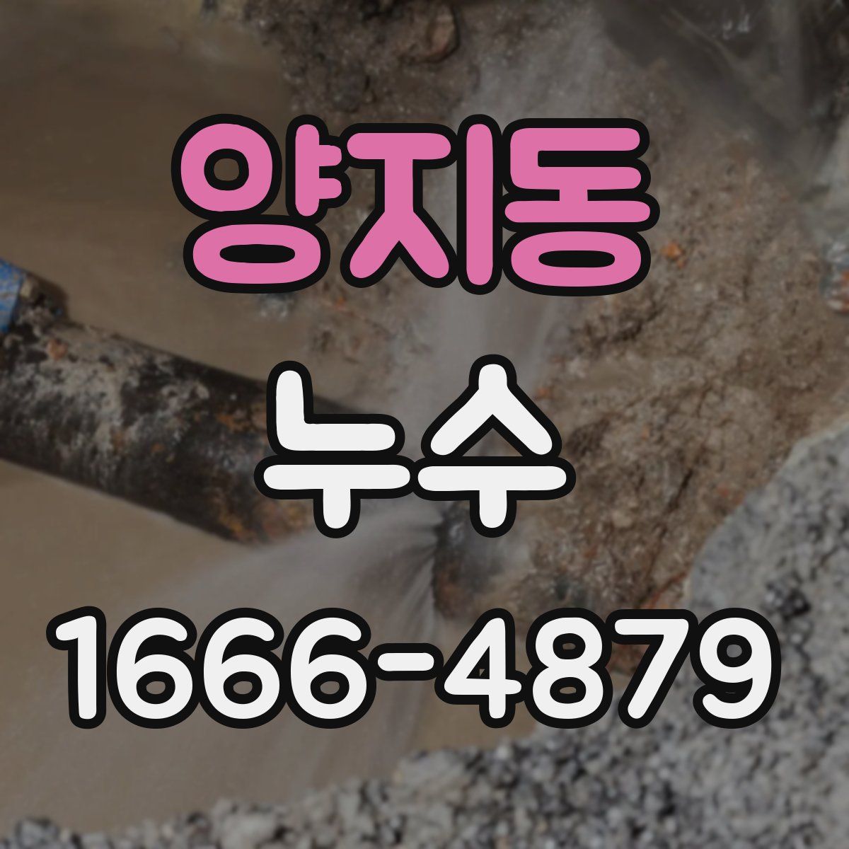 양지동 누수