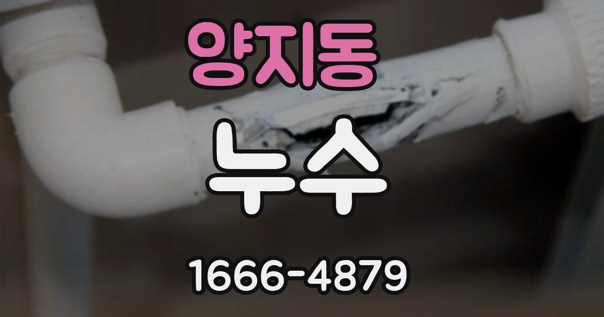 양지동 누수