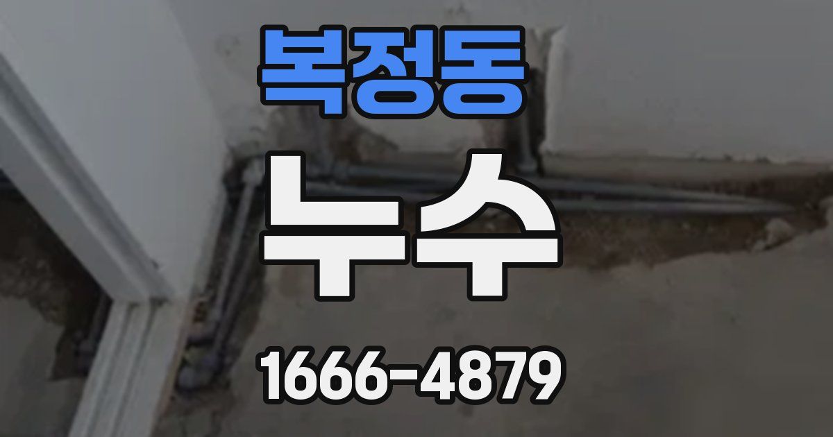 복정동 누수