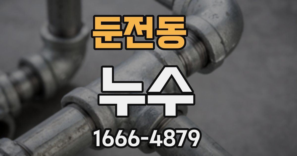 둔전동 누수