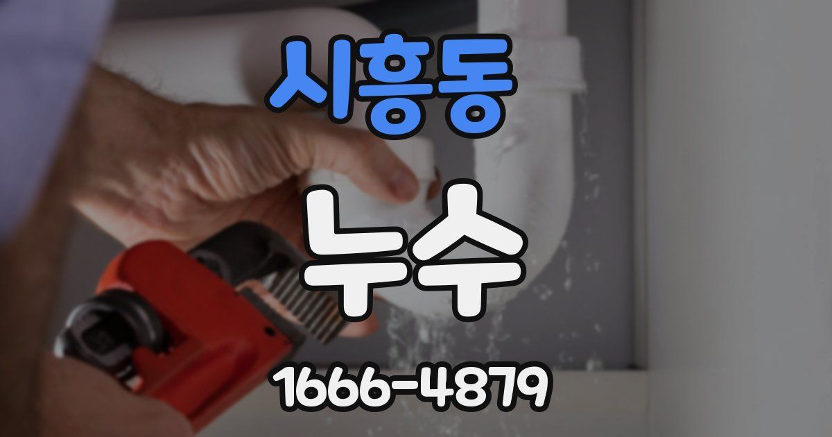 시흥동 누수
