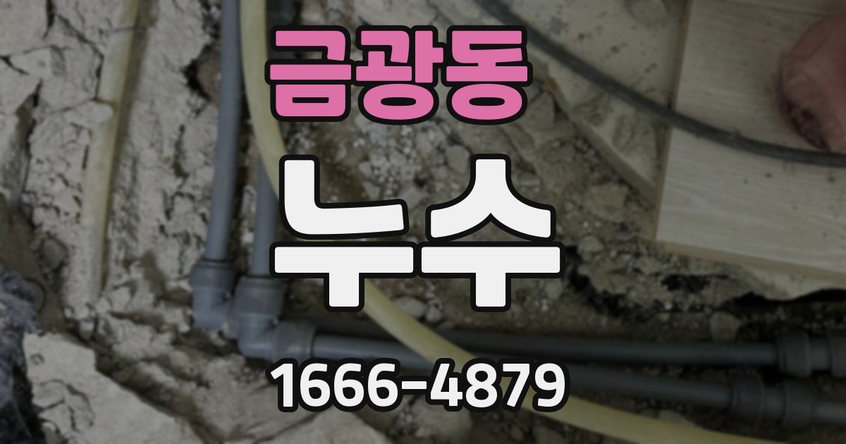 금광동 누수