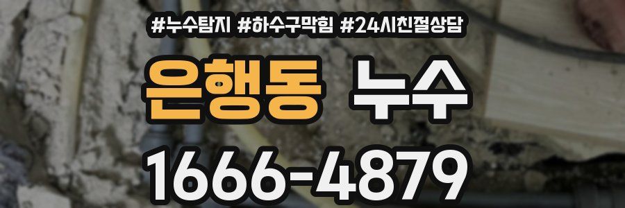 은행동 누수