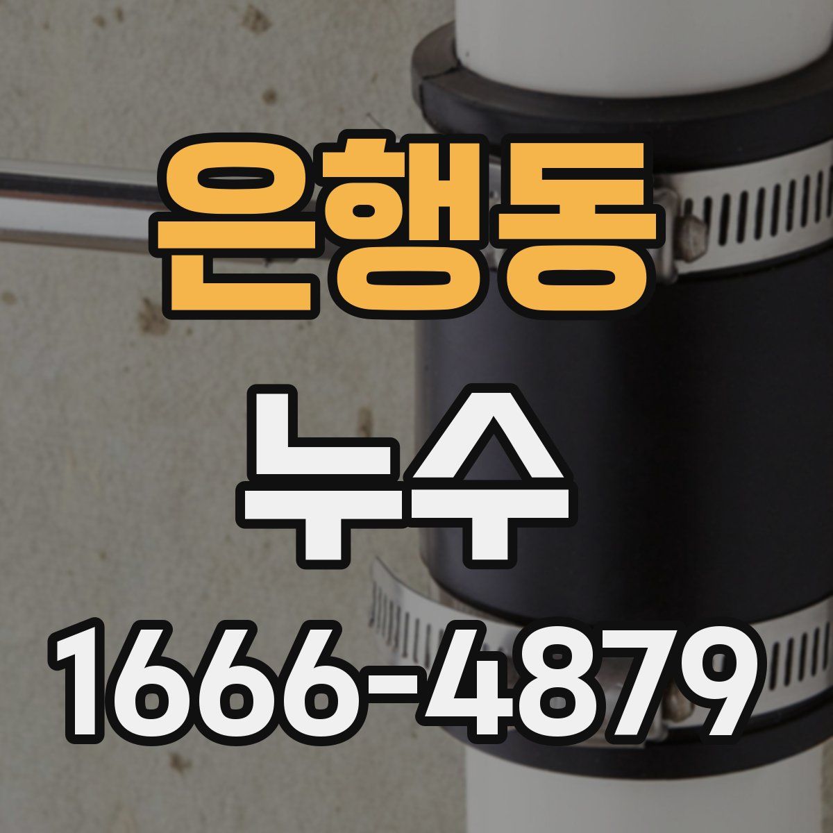 은행동 누수