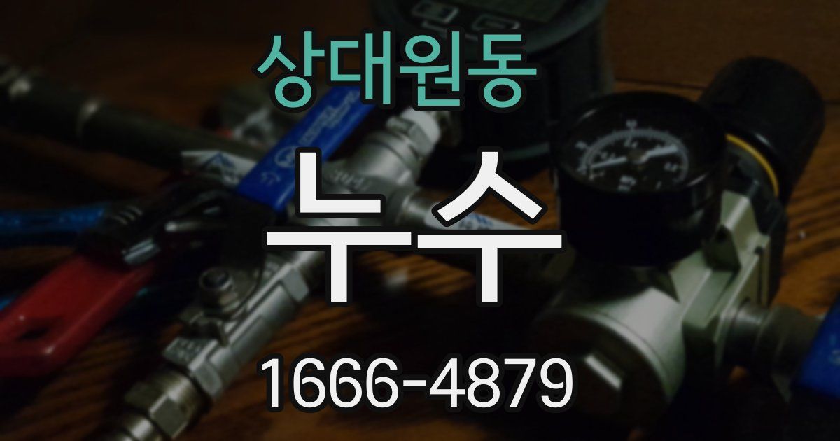 상대원동 누수
