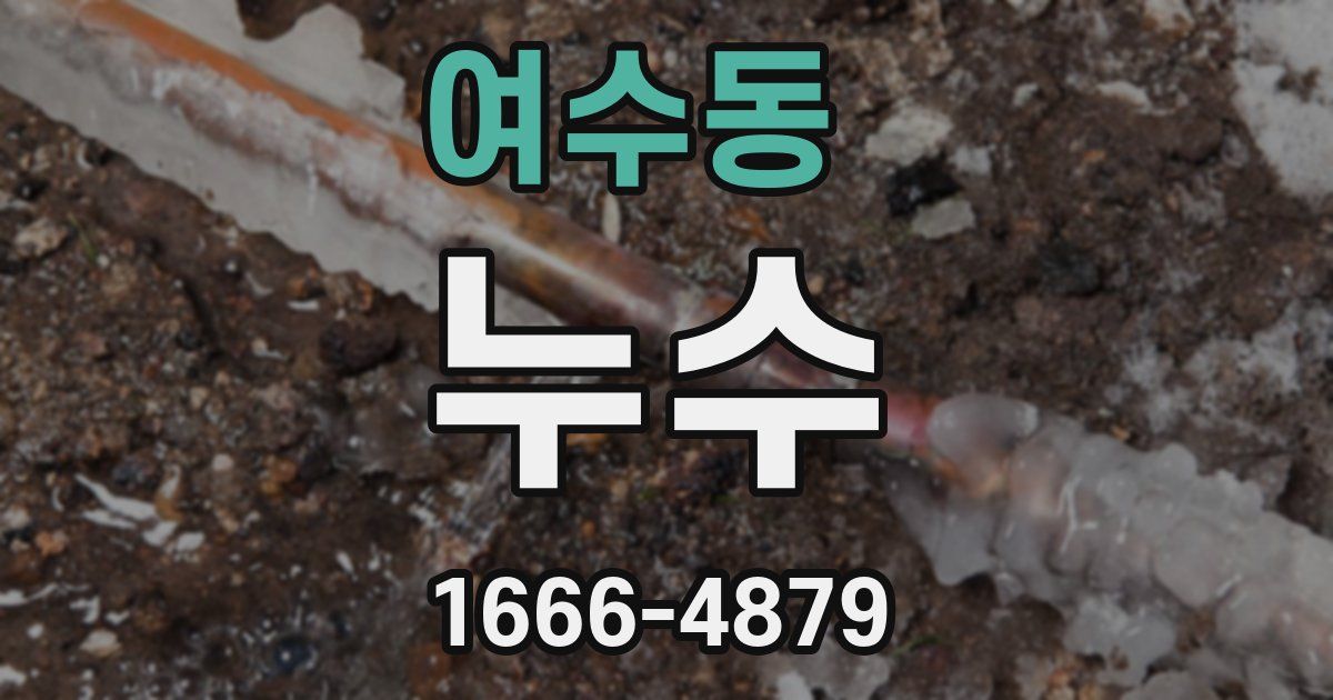 여수동 누수
