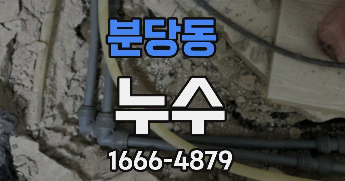 분당동 누수