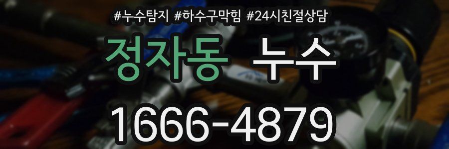 정자동 누수