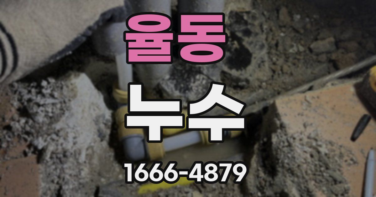 율동 누수