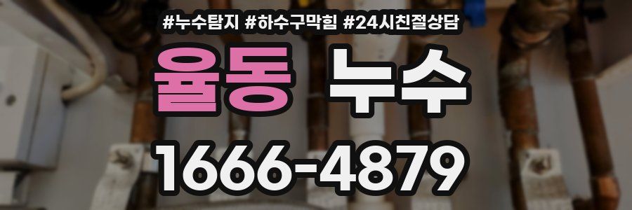 율동 누수