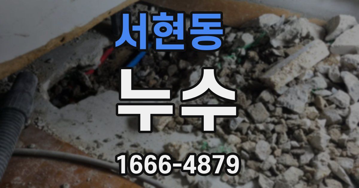 서현동 누수