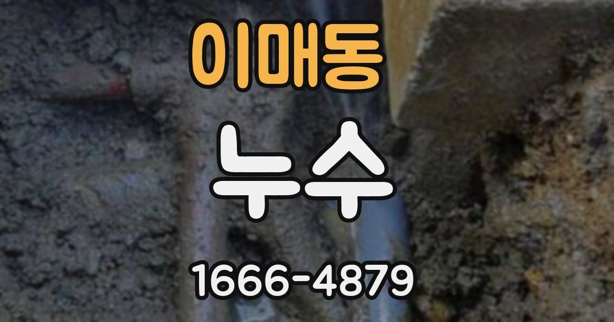 이매동 누수