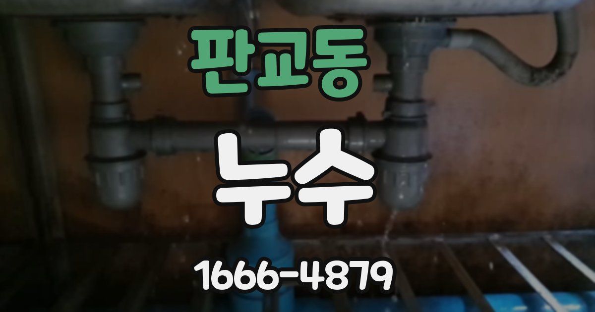 판교동 누수