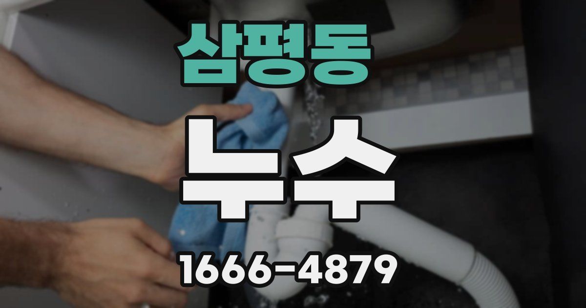 삼평동 누수