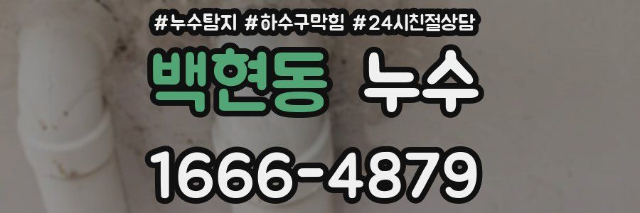 백현동 누수