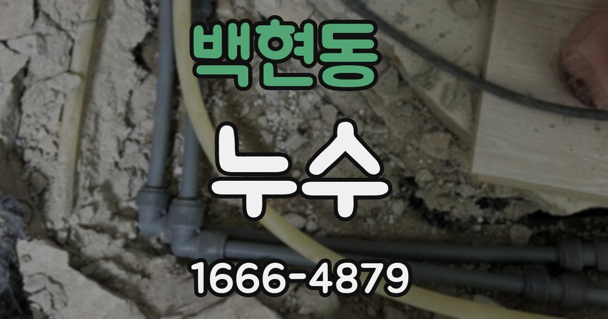 백현동 누수