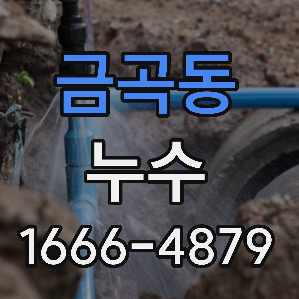 금곡동 누수