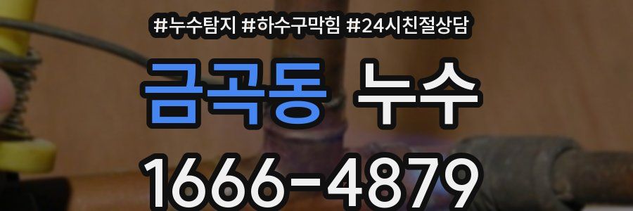금곡동 누수