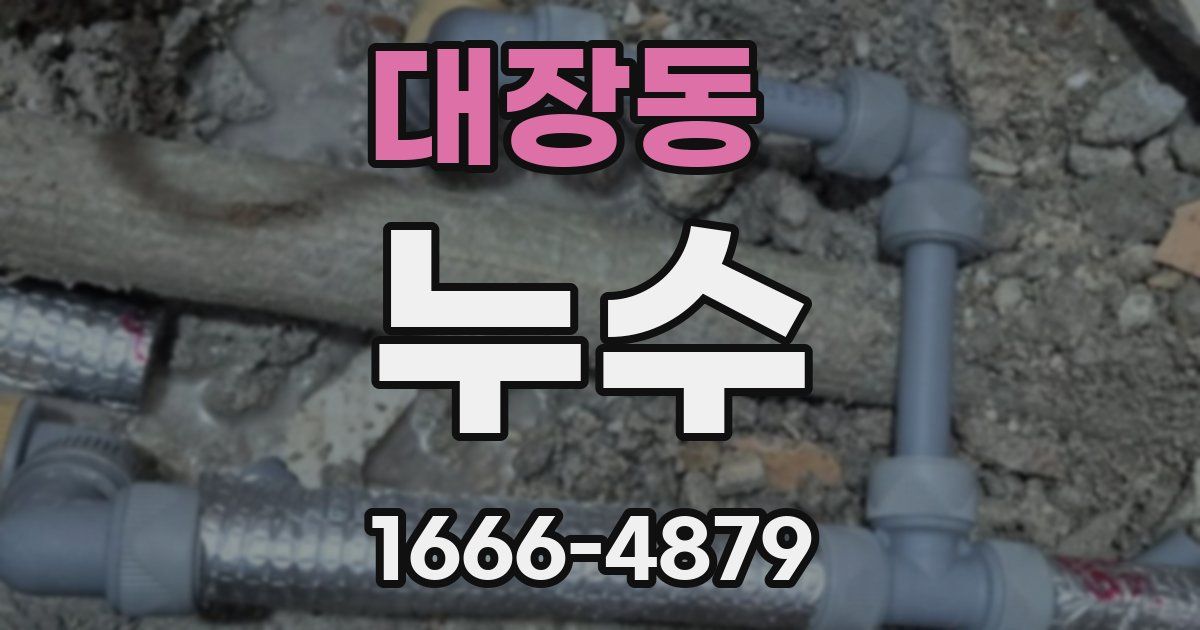 대장동 누수