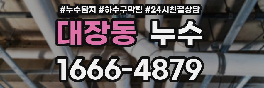 대장동 누수