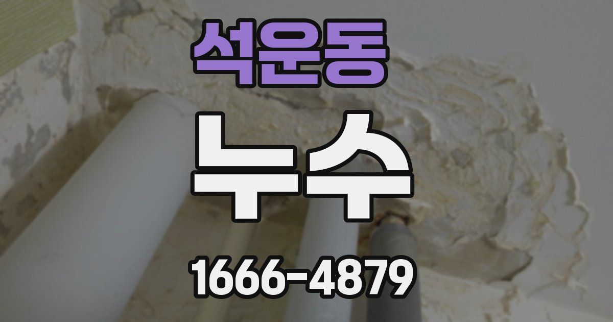 석운동 누수