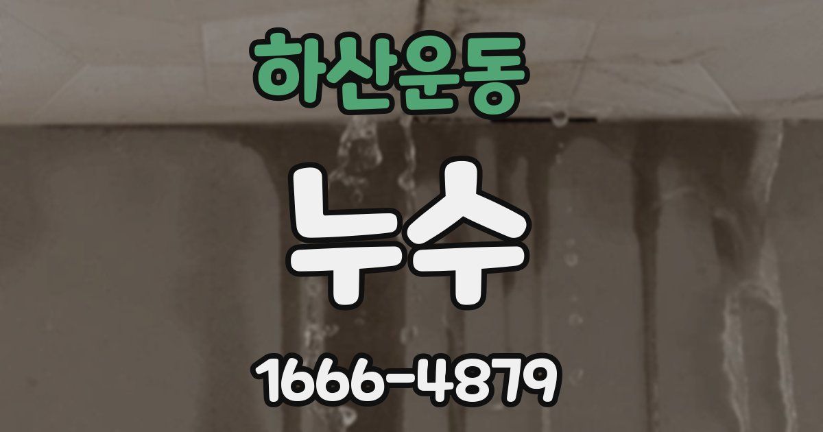 하산운동 누수