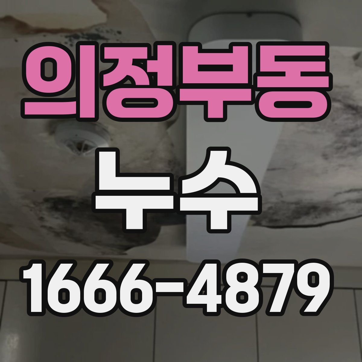 의정부동 누수