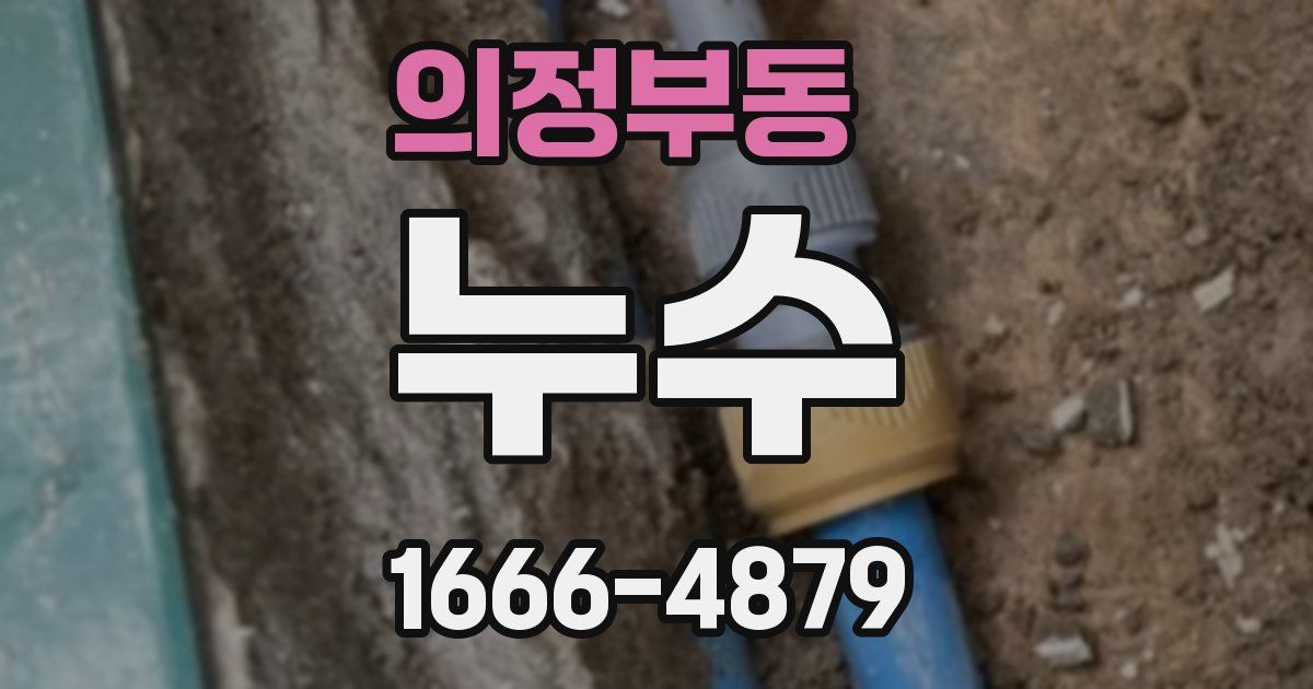 의정부동 누수