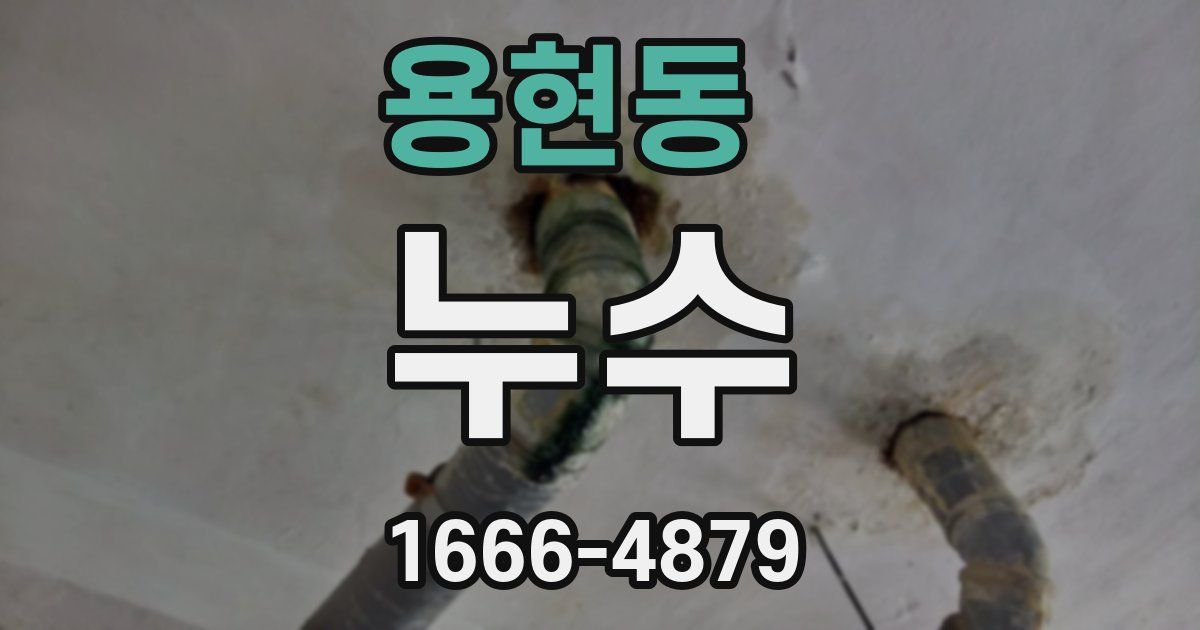 용현동 누수