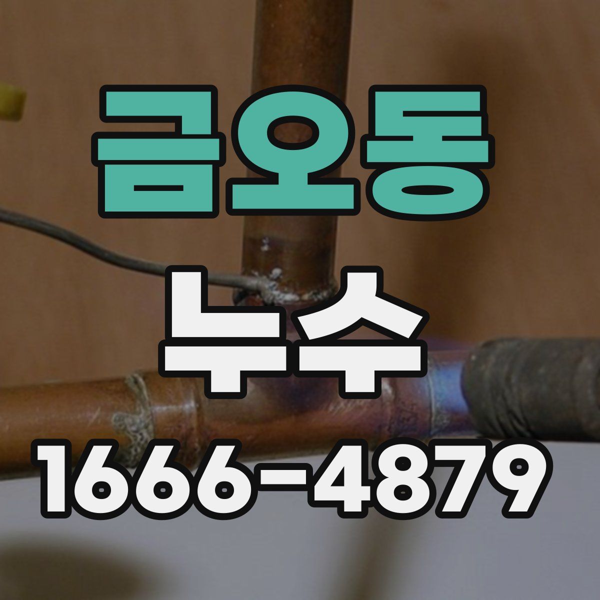 금오동 누수