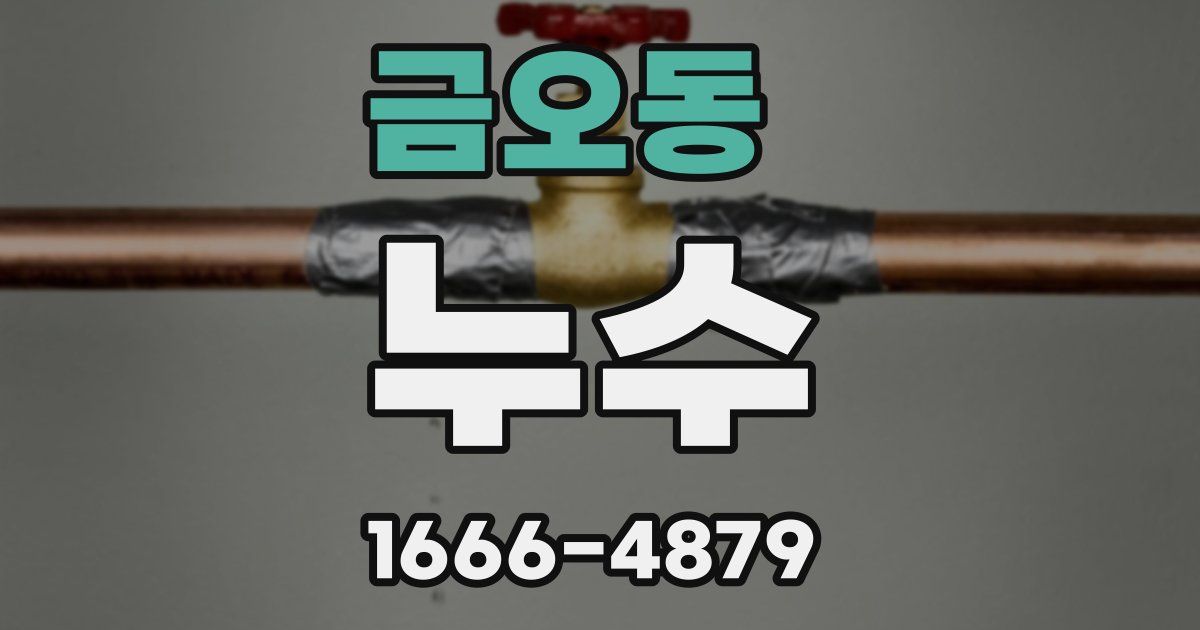 금오동 누수