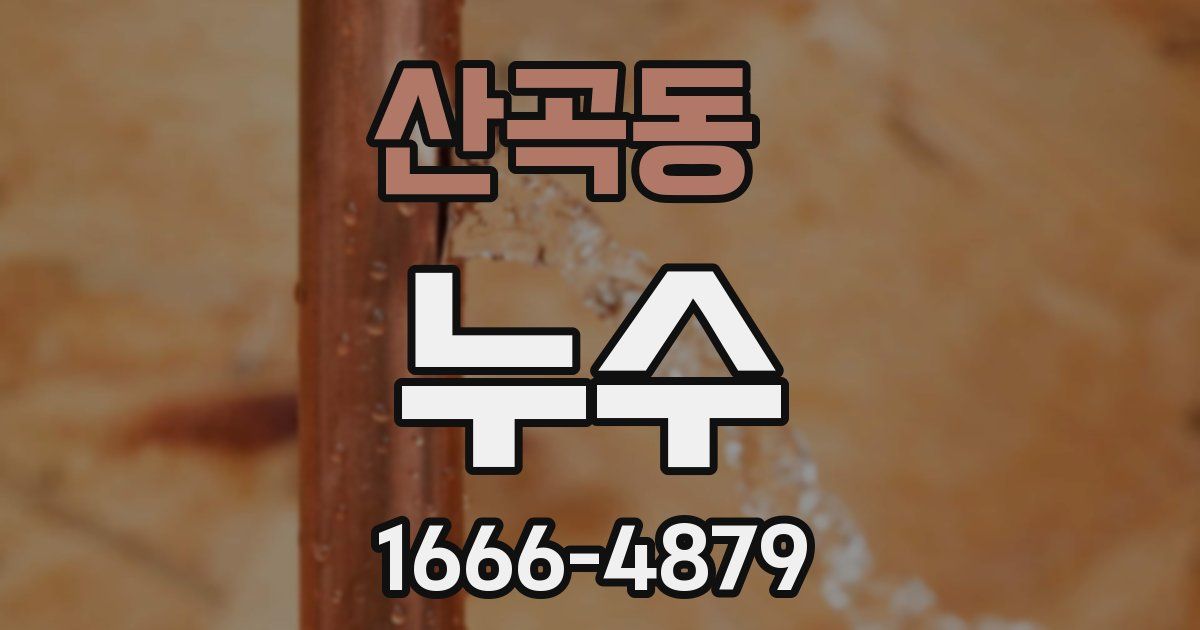 산곡동 누수