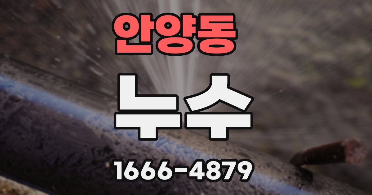 안양동 누수