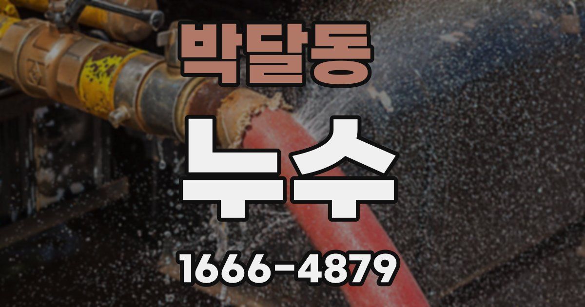 박달동 누수