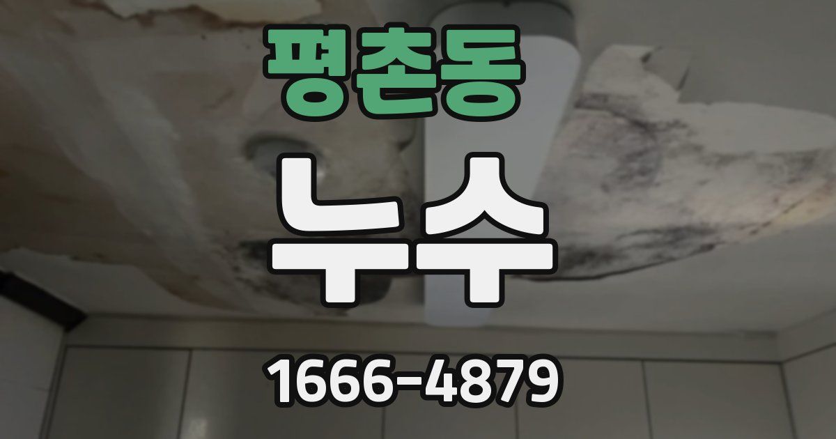 평촌동 누수