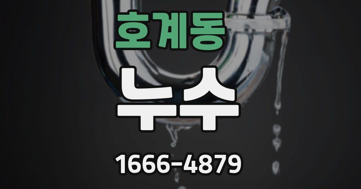 호계동 누수